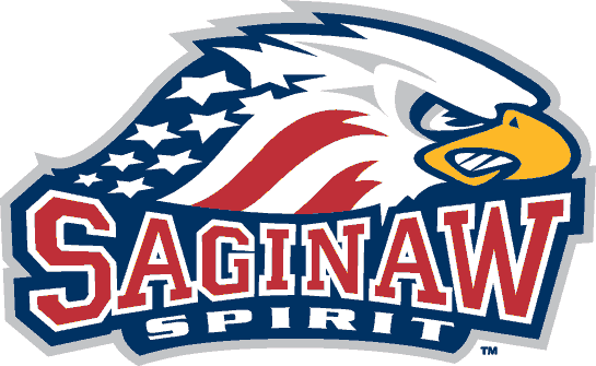 Saginaw Spirit 2002-pres primary logo iron on transfers for clothing